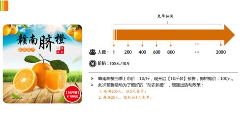 預(yù)售拼購(gòu)模式在農(nóng)產(chǎn)品電商的實(shí)踐與價(jià)值 以贛南臍橙為例的軟件系統(tǒng)推演剖析