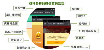 云亞爆炸式微信營(yíng)銷(xiāo)軟件 型號(hào)、功能與購(gòu)買(mǎi)指南